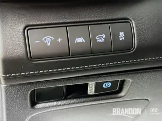 Hyundai SANTA FE 2023 Calligraphy 4p Crossover