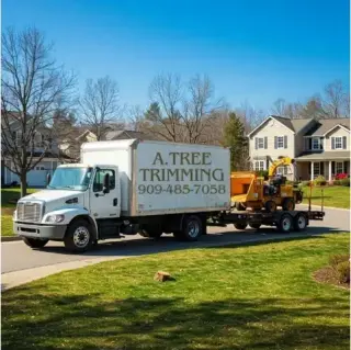 A. Tree Trimming
