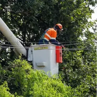 A. Tree Trimming