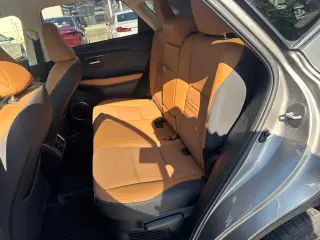 Lexus NX 300 2019 AWD 4p Crossover
