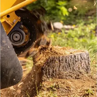 SANDOVAL TREE SERVICE