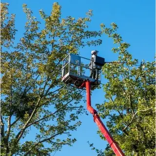 SANDOVAL TREE SERVICE