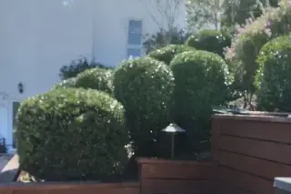Mejia Gardening
