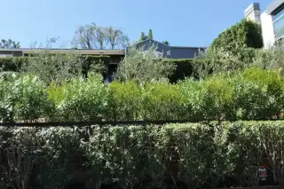 Mejia Gardening