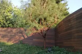 Mejia Gardening