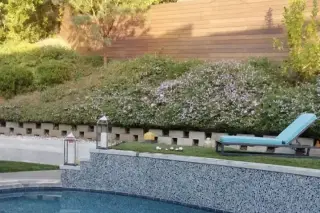 Mejia Gardening