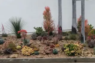 Mejia Gardening