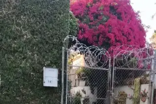 Mejia Gardening