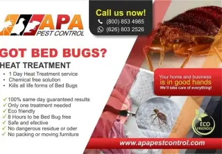 APA Pest Control