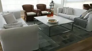LIMPIEZA DE MUEBLES DE TELA