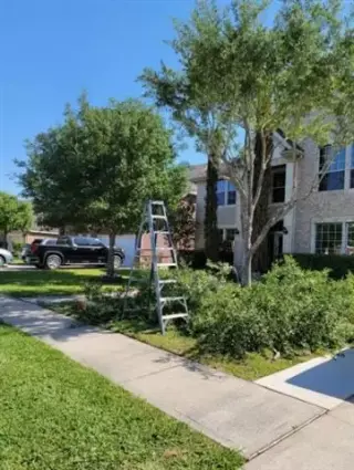 Tree Services and Landscaping