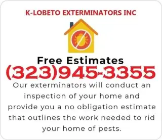FUMIGACIONES TERMITAS L.A 24/7