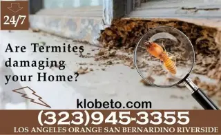 FUMIGACIONES TERMITAS L.A 24/7