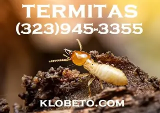 FUMIGACIONES TERMITAS L.A 24/7
