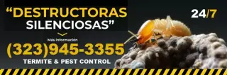 FUMIGACIONES TERMITAS L.A 24/7