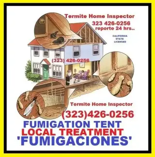 FUMIGACION TERMITA-PLAGA 24/7