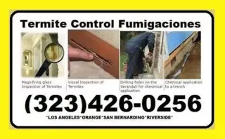 FUMIGACION TERMITA-PLAGA 24/7