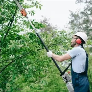 Valley Tree Service