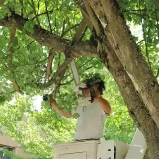Valley Tree Service