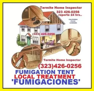 CONTROL EFECTIVO DE TERMITAS