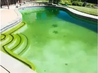 ¡LIMPIEZA DE ALBERCAS!