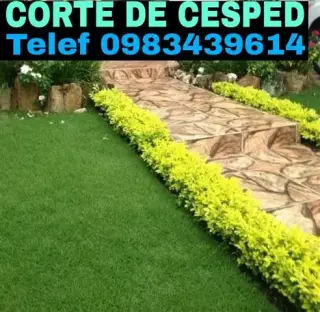 Corte de Césped en Quito