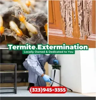 FUMIGACIONES PLAGAS-TERMITAS.-