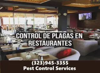 FUMIGACIONES PLAGAS-TERMITAS.-