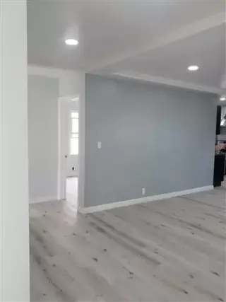 Handyman Daniel