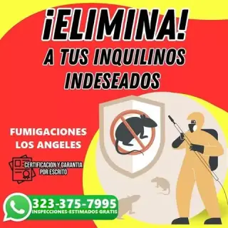 FUMIGACIONES EL MISMO DIA 24/7