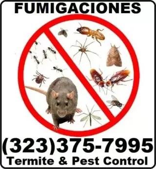 FUMIGACIONES EL MISMO DIA 24/7