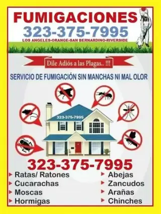 FUMIGACIONES EL MISMO DIA 24/7