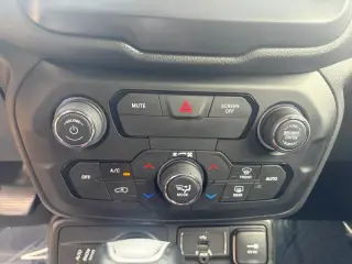 Jeep Renegade 2018 4x4 Trailhawk 4p SUV