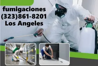 FUMIGACIONES - EXTERMINADORES