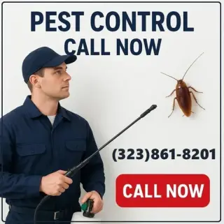 FUMIGACIONES - EXTERMINADORES