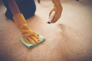 Limpieza de alfombras al seco