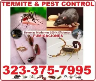 FUMIGACIONES - CONTROL PLAGAS.