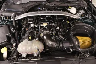 Ford Mustang 2019 BULLITT 2p Fastback