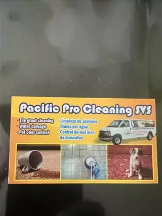 LAVADO DE CARPETAS A VAPOR $