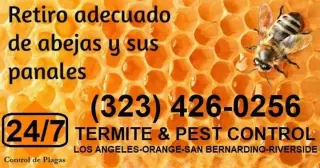 FUMIGACIONES PLAGAS TERMITAS