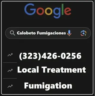 FUMIGACIONES PLAGAS TERMITAS