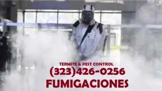 FUMIGACIONES PLAGAS TERMITAS