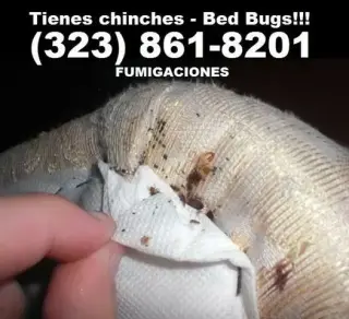 SERVICIOS DE CONTROL DE PLAGAS