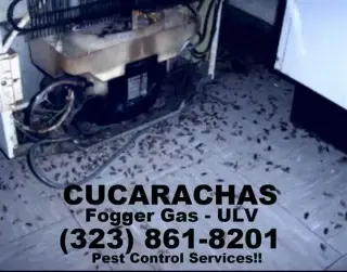 SERVICIOS DE CONTROL DE PLAGAS