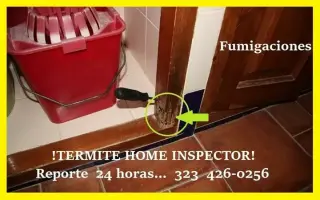 FUMIGACIONES☞TERMITAS-PLAGAS
