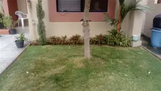 Mantenimiento de jardinería