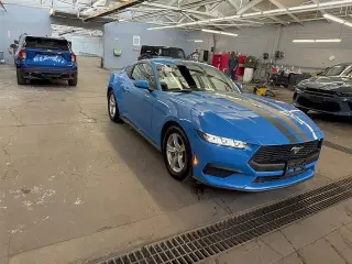 Ford Mustang 2024 EcoBoost 2dr Fastback