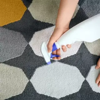 Victor's Carpet Cleaning