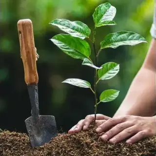 Exceptional  Landscape Service