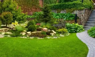 Exceptional  Landscape Service